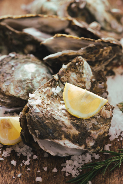 Open shell oysters with lemon and salt on a wooden board - Photo, Image