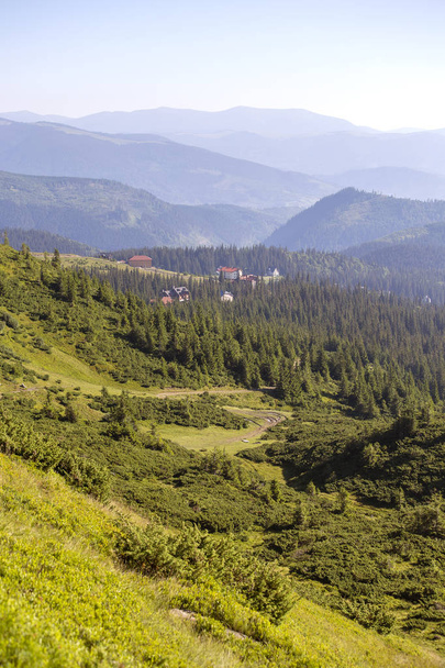 Green fir trees and houses of the village against the background of the Carpathian mountains in summer. Dragobrat, Ukraine - Φωτογραφία, εικόνα
