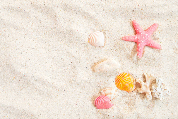 Strand Hintergrund - Draufsicht auf Strand Sand mit Muscheln und Seesternen. Sommerliches Hintergrundkonzept. - Foto, Bild