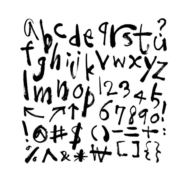 Vector fonts / Handwritten calligraphy  - Вектор, зображення