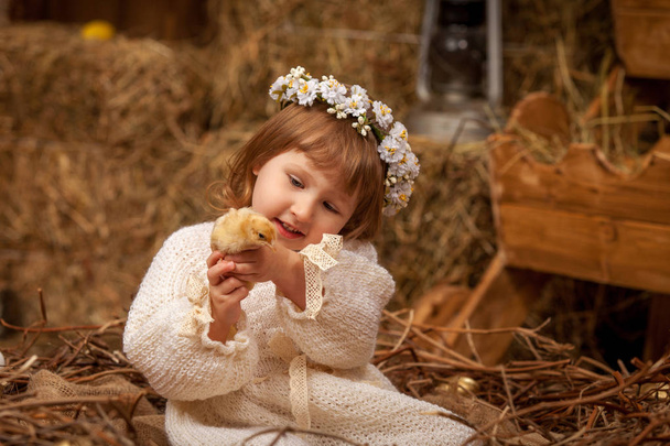 baby and chick autumn rural style natural hay communication with animals - Valokuva, kuva