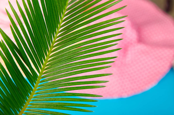 Summer tropical green palm leave background. Minimalist concept. flat lay, top view, copy space. Summer outfit blurred - Photo, Image