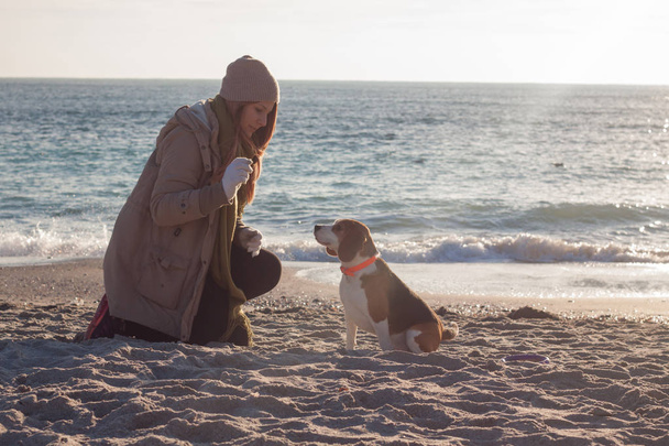 Young woman play with beagle dog on the winter or autumn sunny day on the beach  - Foto, afbeelding