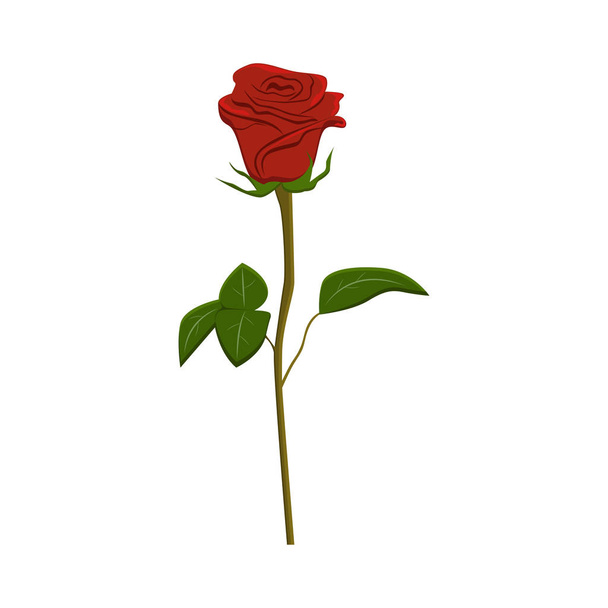 Clip art red rose, vector - Vecteur, image