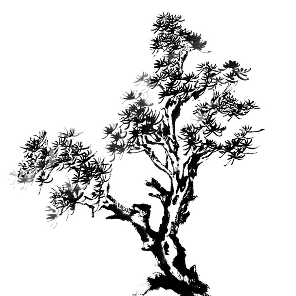 Дерево сосни
 - Фото, зображення
