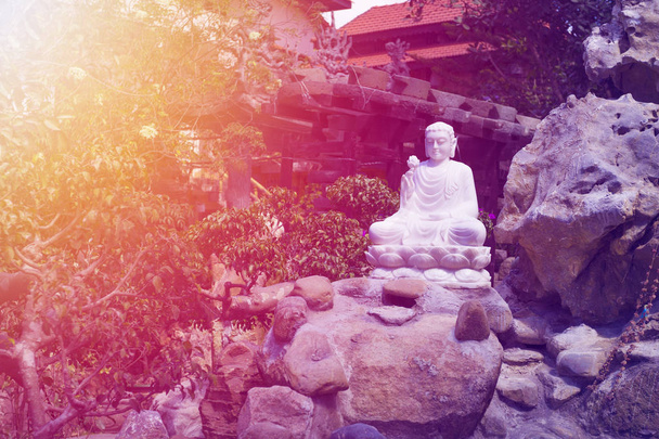 white statue of buddha on the stone - Photo, Image