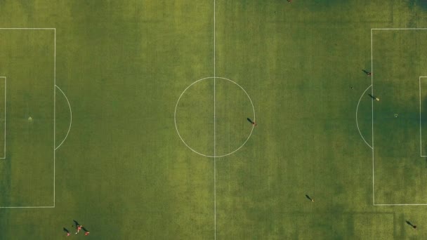 Veduta aerea della squadra di calcio che pratica di giorno sul campo di calcio in vista dall'alto
 - Filmati, video