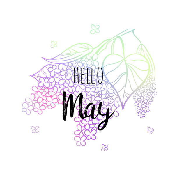 Hello May poster with lilac. Motivational print for calendar, glider, invitation cards, brochures, poster, t-shirts. - Vector, Image