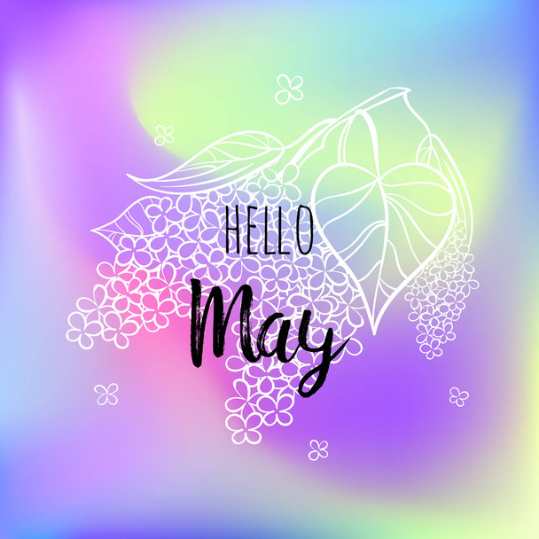 Hello May poster with lilac. Motivational print for calendar, glider, invitation cards, brochures, poster, t-shirts. - Photo, Image