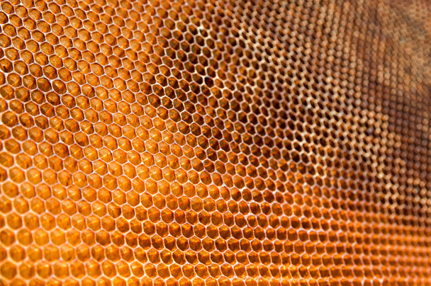 panal de abeja con cera de colmena fondo imagen abstracta
 - Foto, Imagen