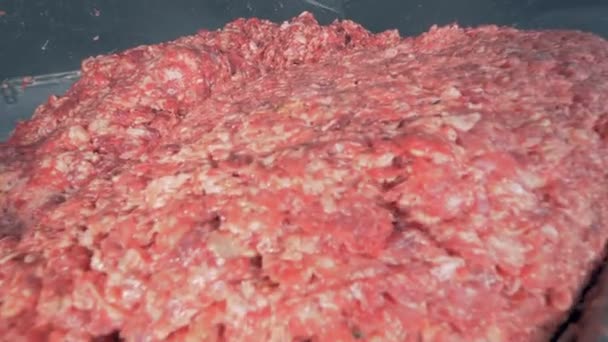 Chopped meat at a factory, close up. - Metraje, vídeo