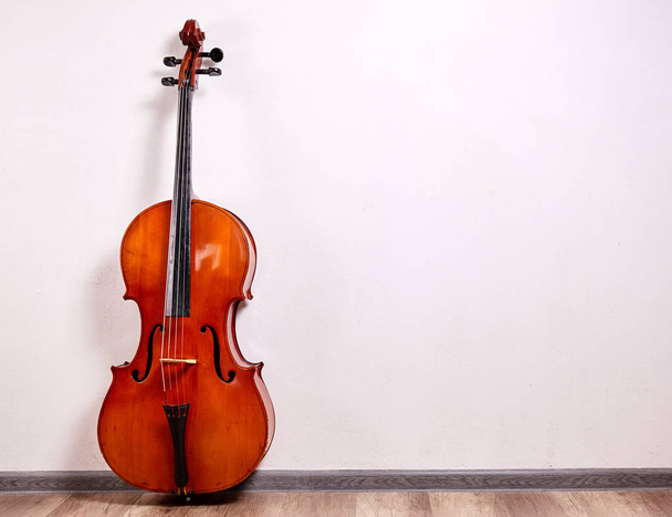 Primer violonchelo retro
 - Foto, imagen