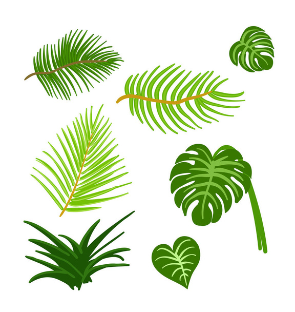 Tropical Leaves isolated set on the white background. Floral vector elements. - Vektör, Görsel