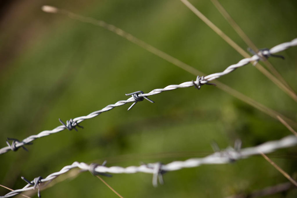 Wired Fence - Photo, Image