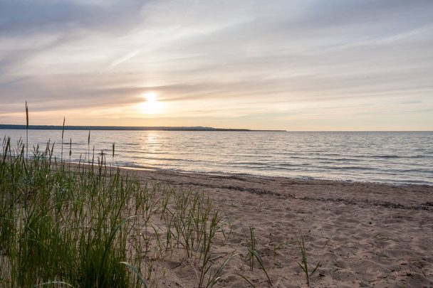 Grass on a sandy beach in Michigan, with the sun low in the horizon. - Photo, image