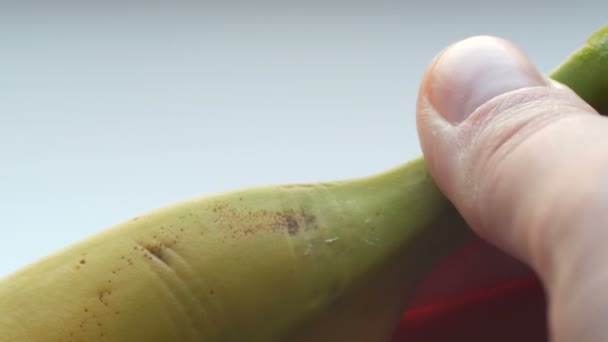 Mujer pelar sexualmente piel de plátano, macro vista de cerca
 - Imágenes, Vídeo