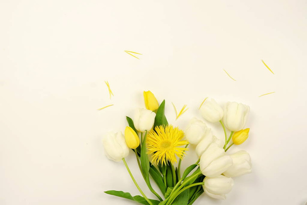 Fond de fleurs. Bouquet de belles tulipes blanches et jaunes sur fond clair. Espace de copie
 - Photo, image