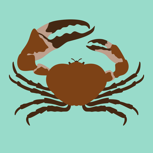  crab vector illustration flat style front side - Vector, Image