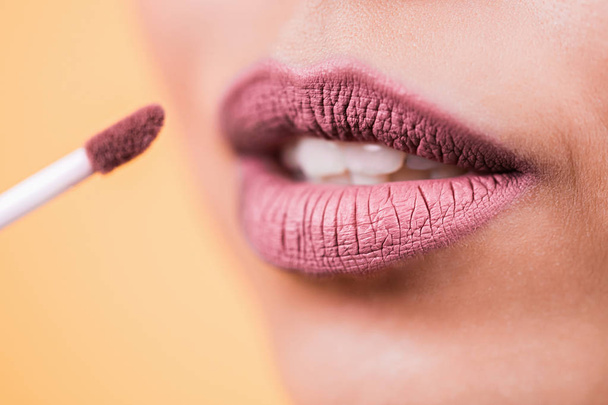 Professional make up. Makeup artist apply lip gloss. - Фото, изображение
