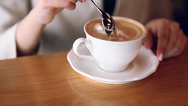 Κορίτσι με καφέ, κάθεται σε μια καφετέρια και αναμιγνύει τον αφρό. Κατέχει ένα κουτάλι και καφέ. Καπουτσίνο με αφρό, θερμότερος και ικανοποιητική. Αναζωογονητικό ποτό το πρωί - Πλάνα, βίντεο