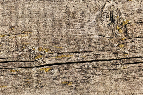 Vecchio stagionato incrinato annodato pino legno pavimento Grunge Texture dettaglio
 - Foto, immagini