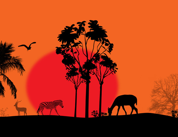 Afryka / safari - sylwetki zwierząt dzikich - Wektor, obraz