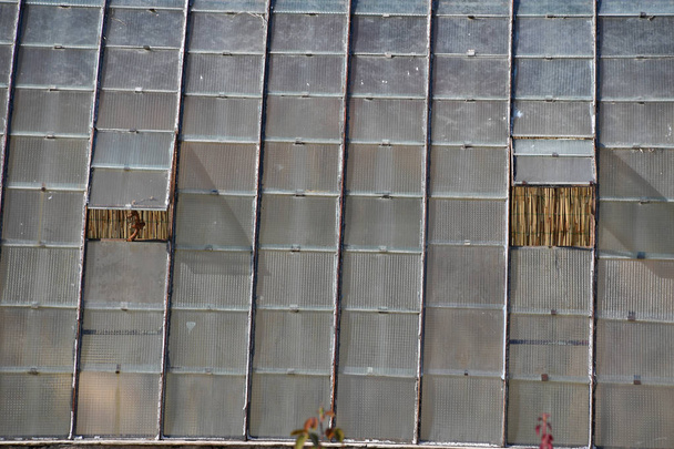 Üvegházhatást okozó buiulding üvegház külső - Fotó, kép