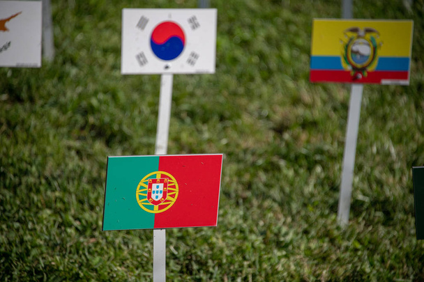 Portugália és az Egyesült Nemzetek sok zászlókat a fű - Fotó, kép