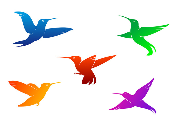 Létající kolibříci - Vektor, obrázek