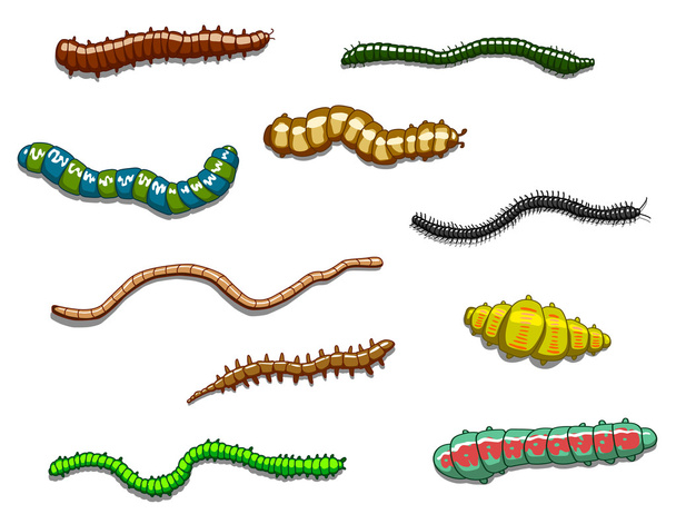 wormen, slakken en rupsen - Vector, afbeelding