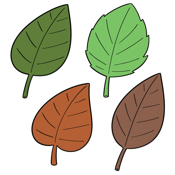 Ensemble vectoriel de feuilles
 - Vecteur, image