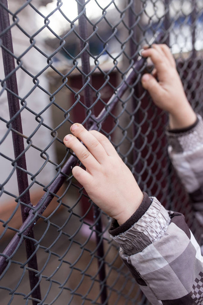 childrens hands on a metal fence - Foto, immagini