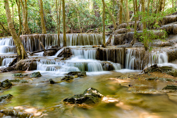 Trópusi dzsungel erdei táj háttér természetes vízesés - Fotó, kép