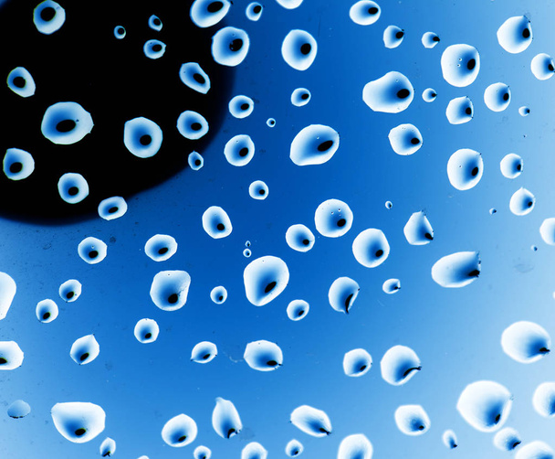 drops of water on a blue background - 写真・画像