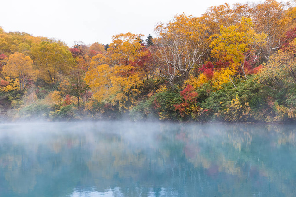 秋の紅葉シーズンの青森で Jigokunuma 池火口湖 - 写真・画像