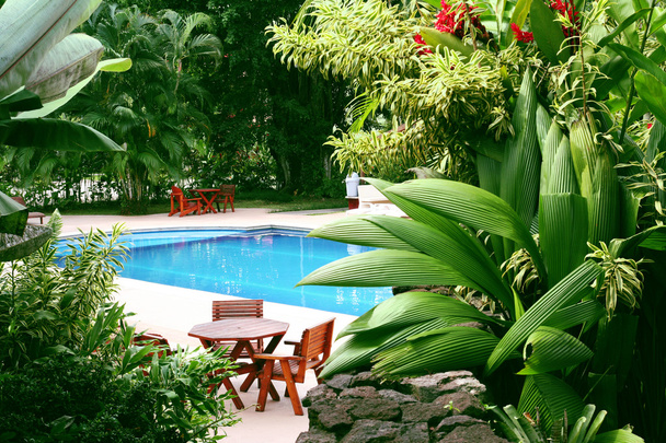 bazén v tropické prostředí - Fotografie, Obrázek