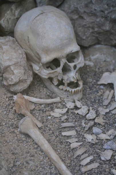scheletro e ossa di una vecchia tomba
 - Foto, immagini