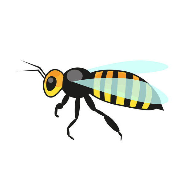Vektor-Illustration Biene auf weißem Hintergrund - Vektor, Bild