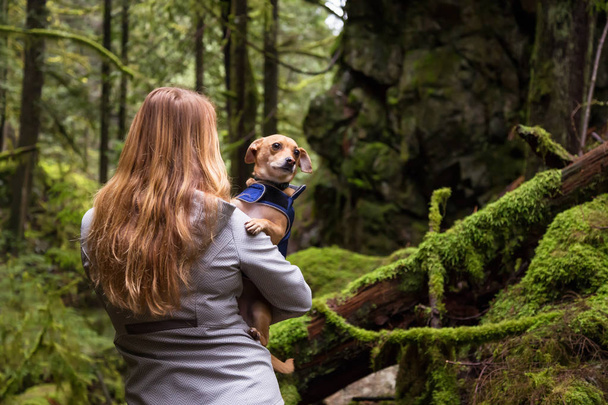 Woman holiding a small dog, Chihuahua, in her arms surrounded by beautiful nature. Taken in Lynn Valley, North Vancouver, British Columbia, Canada. - Foto, afbeelding