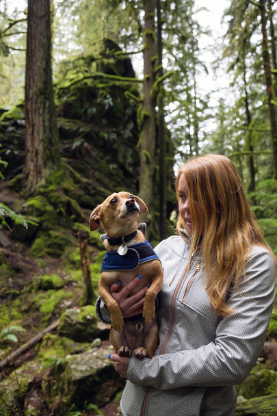 Woman holiding a small dog, Chihuahua, in her arms surrounded by beautiful nature. Taken in Lynn Valley, North Vancouver, British Columbia, Canada. - Foto, Imagem
