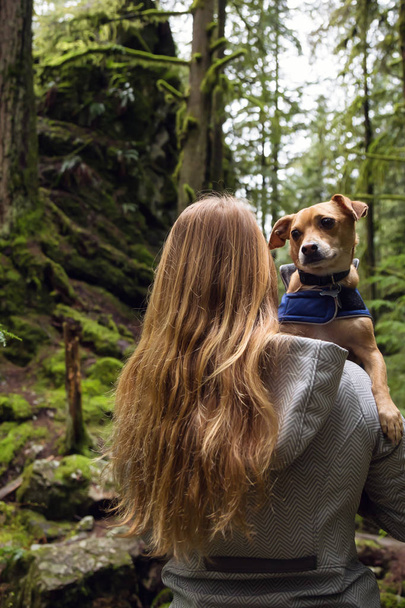 Woman holiding a small dog, Chihuahua, in her arms surrounded by beautiful nature. Taken in Lynn Valley, North Vancouver, British Columbia, Canada. - Foto, Imagen