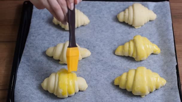 Verspreiding van eigeel op croissants, close-up - Video