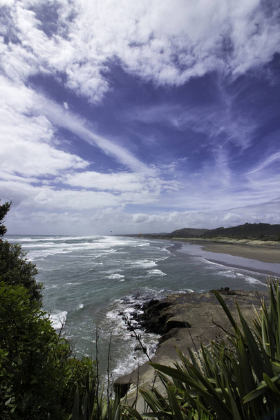 Murau gannet kolonii Nowa Zelandia atrakcja dnia - Zdjęcie, obraz