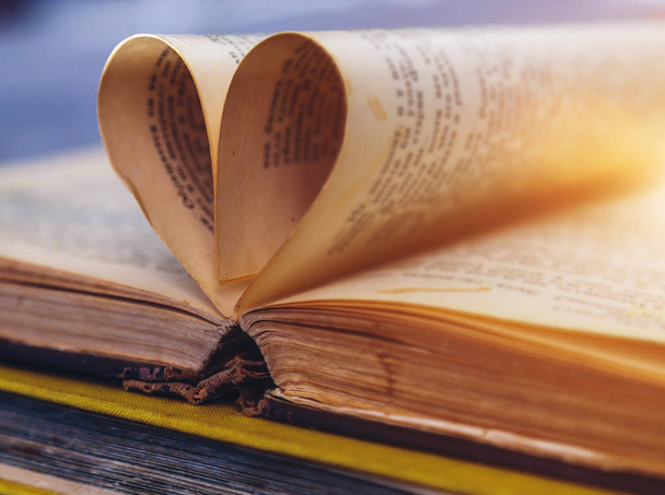 ein offenes altes Buch mit Blättern in Herzform - Foto, Bild