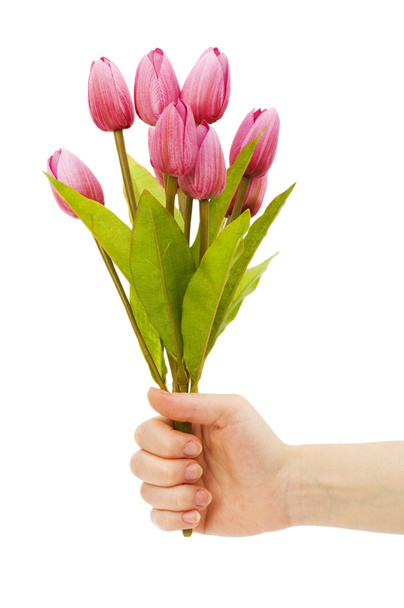 Hände, die Tulpen isoliert halten - Foto, Bild