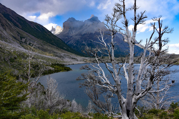Cuerno Principal et la Valle Frances, Parc National Torres del Paine. Patagonie, Chili
 - Photo, image