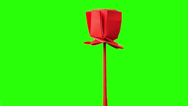 Κόκκινο origami τουλίπας στην πράσινη οθόνη. - Πλάνα, βίντεο