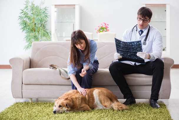 Huisarts bezoekt golden retriever hond thuis - Foto, afbeelding