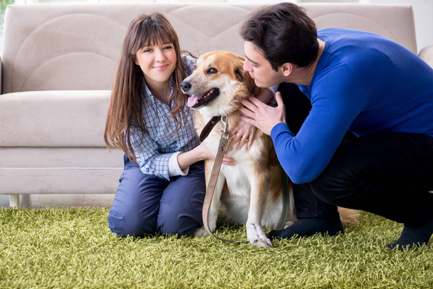 Ευτυχισμένη οικογένεια με σκύλο γκόλντεν ριτρίβερ - Φωτογραφία, εικόνα