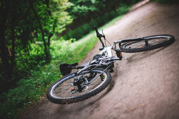 bicycle lays on the path in the daytime in the park in the summer - Photo, Image